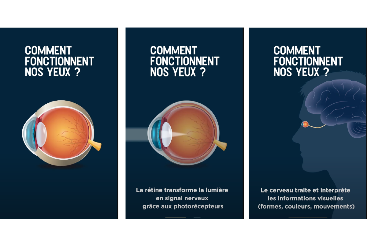 IDS site spé-5