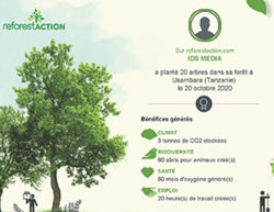 reforestaction-compensation-carbone-ecran-affichage-dynamique
