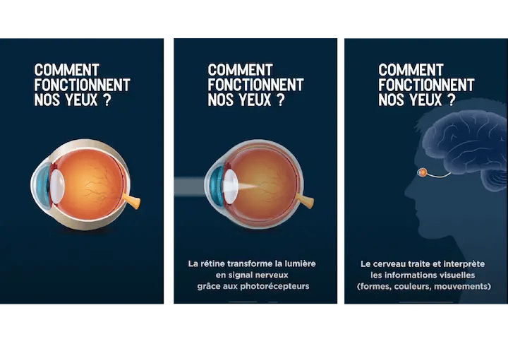 IDS site spé-5 (1)