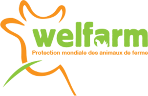 welfarm