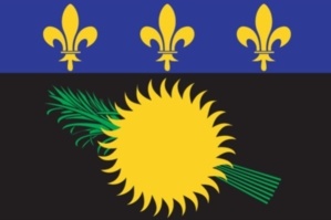 domtom-articleblog.jpg